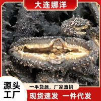 大連淡干海參50g水產海參干貨批發食用廠家一手野生遼參禮盒裝