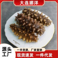 即食刺參海參大連特產遼參500g鮮活滲干貨大連海參盒裝特價