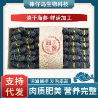 廠家批發大連純淡干海參遼參高刺半干海參干貨500g禮盒裝水產干貨